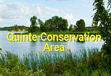 Try a FREE parking pass at the Quinte Conservation Area!